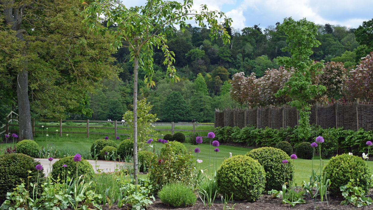 Overall view of the garden design